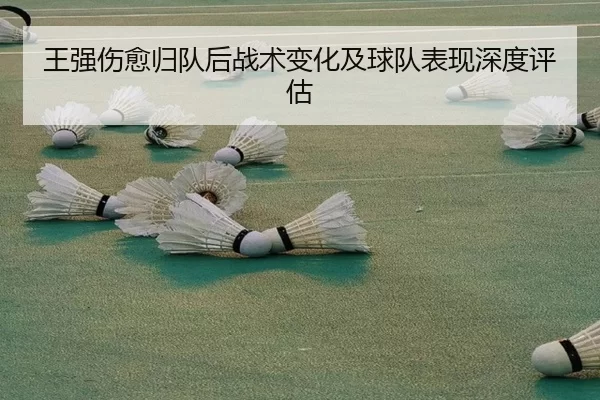 王强伤愈归队后战术变化及球队表现深度评估